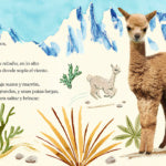 Buenas noches, Llamita