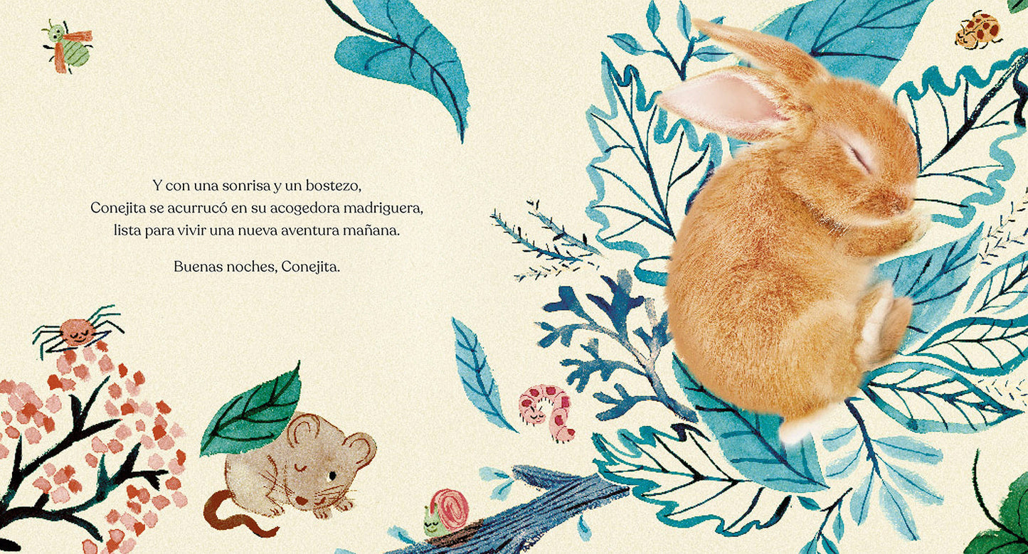 Buenas noches, Conejita